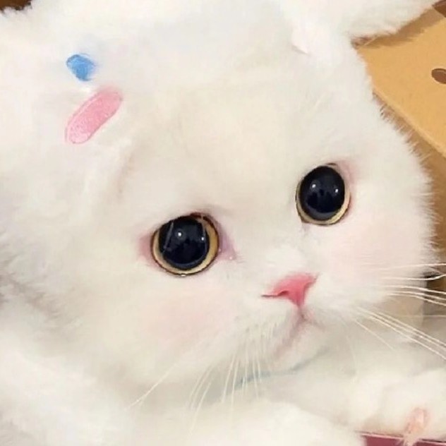 鸿宝阁app