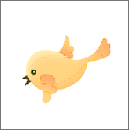 快鸟下载橙色版